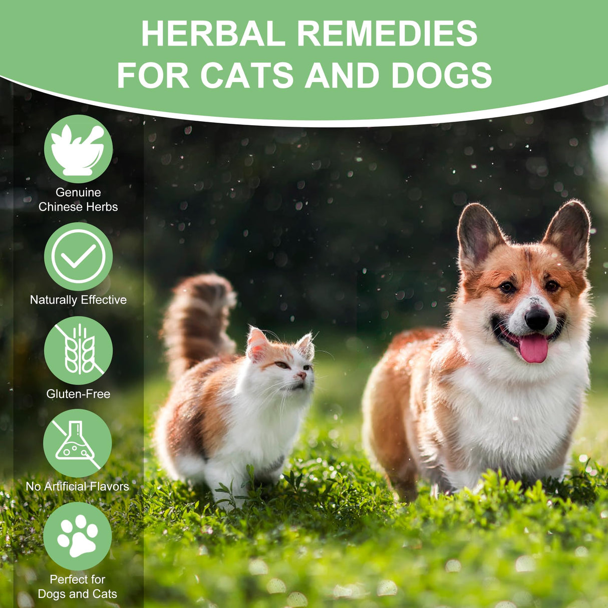 Dog & Cat Bladder Crystals Treatment or Stone, Bladder Kidney Stones Dissolver for Pet, Cat Dog Urinary Tract Supplements for Kidney and Bladder Stones, Urinary Free The Flow, 2 fl oz, 59ml