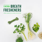 Minties Dog Dental Bone Treats, Tiny/Small Dental Dog Treats, Clean Teeth, Fight Bad Breath, Removes Plaque and Tartar, 80 Count