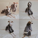 D Doggy Star Italian Greyhound Clothes, Corduroy Velvet Hooded Jumpsuit, Stretchy and Cozy (2XL,Hoodie Charcoal)