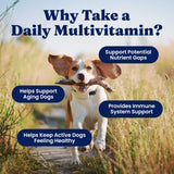 Solid Gold Dog Multivitamin - Soft Dog Vitamins & Supplements Chews - All-in-One Heart, Immune, Brain, Skin, Coat & Gut Health Support w/Vitamin C, B12, Probiotics & Antioxidants - Bacon Flavor 120ct