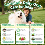 POPPAW Dog Dental Powder – Teeth Cleaning Powder with 6B CFU Probiotics, Enzymes & Antioxidants, Plaque & Tartar Off, Fresh Breath Support, No Brushing Oral Care, Mint Chicken Flavor, 75 Servings