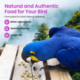 Harrison's Bird Food Power Treats with Red Palm Fruit Oil, 1 lb. 454g