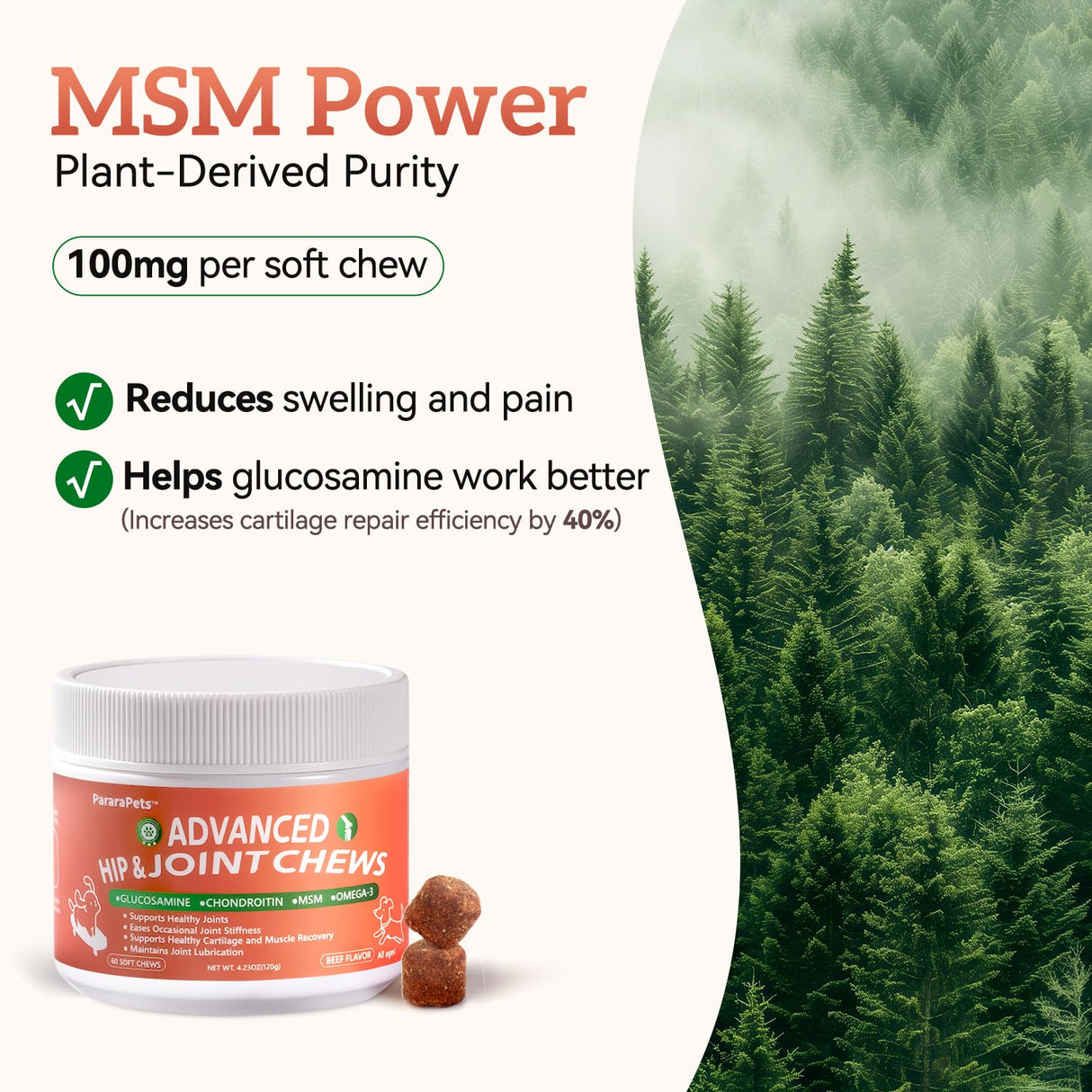 Advanced Dog Hip and Joint Supplement with Glucosamine, Chondroitin, MSM, and Vitamin C, Beef Flavor, 60 Soft Chews
