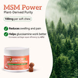 Advanced Dog Hip and Joint Supplement with Glucosamine, Chondroitin, MSM, and Vitamin C, Beef Flavor, 60 Soft Chews