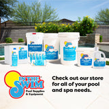 In The Swim Black Algaecide – Eradicates Black Algae in Swimming Pools - Copper Sulfate Pentahydrate - 1 Quart