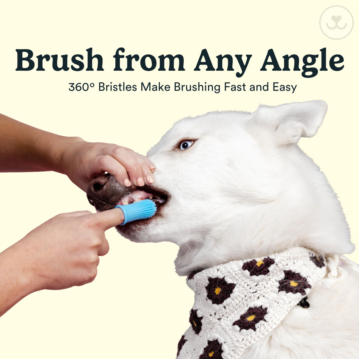 Jasper Dog Toothbrush, 360 Degree Dog Tooth Brushing Kit, Cat Toothbrush, Canine Dental Care & Teeth Cleaning Kit, Pet Finger Tooth Brush, Use with Pet Toothpaste, 4-Pack Blue
