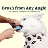 Jasper Dog Toothbrush, 360 Degree Dog Tooth Brushing Kit, Cat Toothbrush, Canine Dental Care & Teeth Cleaning Kit, Pet Finger Tooth Brush, Use with Pet Toothpaste, 4-Pack Blue