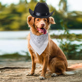 Yewong Pet Cowboy Costume Accessories - Dog Cat Pet Size Cowboy Hat and Bandana Scarf West Accessories for Puppy Kitten Party Festival and Daily Wearing Set of (Black Hat+White Bandana)