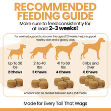 Load image into Gallery viewer, Omega 3 for Dogs - 180 Soft Chew Omega Treats for Skin and Coat - Fish Oil Blend of Essential Fatty Acids, Omega 3 and 6, Vitamins, Antioxidants and Minerals - Made in USA
