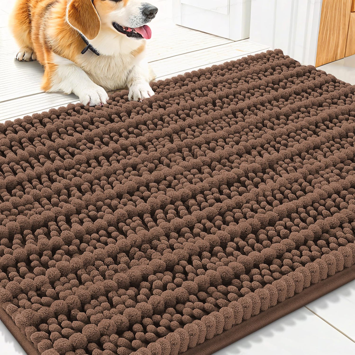 Smiry Dog Door Mat for Muddy Paws 30x20, Extra Soft Absorbent Chenille Doormat, Trap Moisture and Dirt, Non-Slip Machine Washable Front Door Mat for Indoor Entrance Inside Floor, Mocha