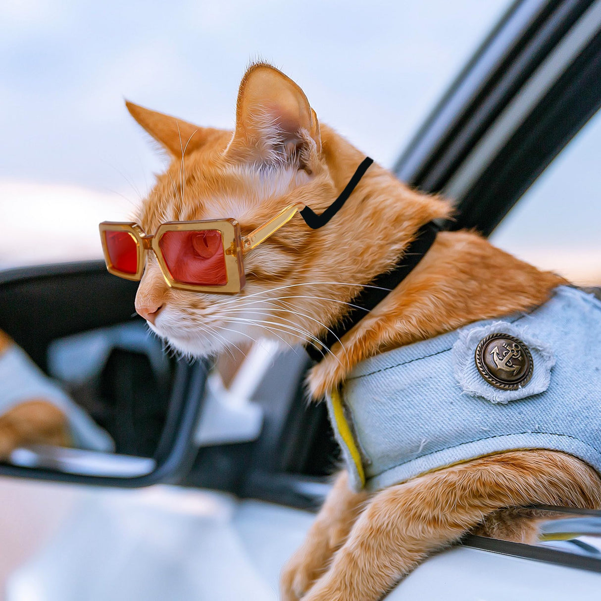 BAIRUYAO 5PCS Cat Dog Sunglasses Classic Retro Pet Glasses，UV Protection Trendy Cute Hip-hop Funny Pet Glasses for Cosplay Costume Photos Props Road Trip Christmas
