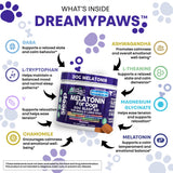 Dreamy Paws Melatonin for Dogs Dog Calming Sleep Supplement - Melatonin GABA Tryptophan Valerian Magnolia Bark Passion Flower Magnesium Ashwagandha Restful Sleep 90 Chews Beef Flavor by Clean Pets