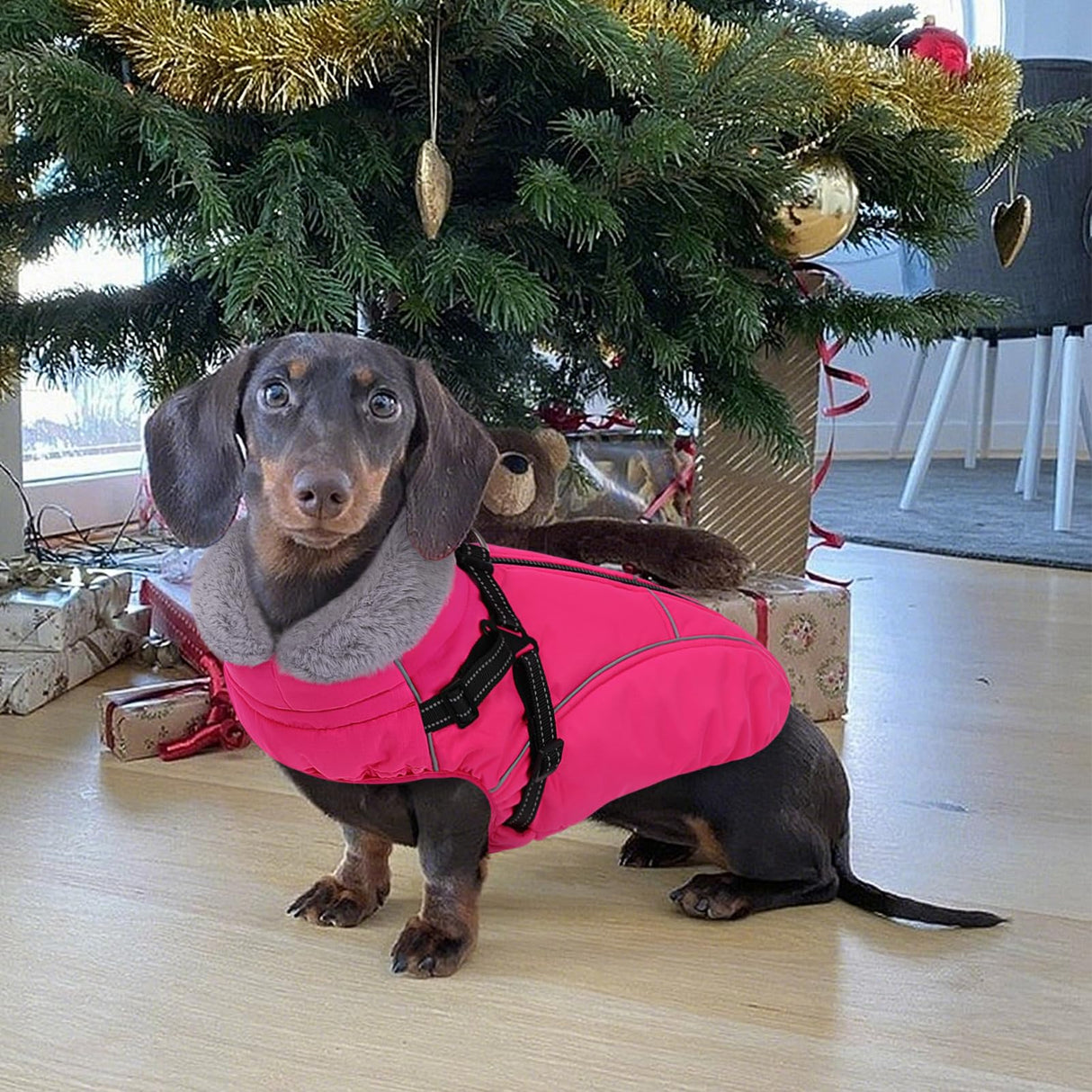 Preferhouse XXL Dog Winter Coat, Dog Puffer Jacket with Harness Built in, Pet Windproof Cold Weather Vest with Zipper Dogs Snowsuit, Rose 2XL