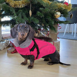 Preferhouse XXL Dog Winter Coat, Dog Puffer Jacket with Harness Built in, Pet Windproof Cold Weather Vest with Zipper Dogs Snowsuit, Rose 2XL