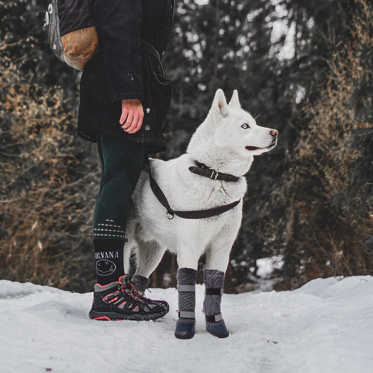 Adorepaw & Dog Rain Boots with Waterproof Material , Dog Winter Boots Keeps Your Pet Warm, Reflective Straps and Anti-Slip Sole, Dog Snow Boots for Snowy Day( 4PCS/Set )