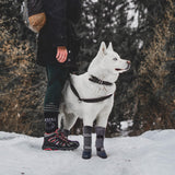 Adorepaw & Dog Rain Boots with Waterproof Material , Dog Winter Boots Keeps Your Pet Warm, Reflective Straps and Anti-Slip Sole, Dog Snow Boots for Snowy Day( 4PCS/Set )