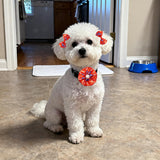 JpGdn 120PCS Dinosaur Dog Bows Pack Include 20PCS Bowties with Adjustable Buckle 40PCS Hair Bows 60PCS Flowers and Bowties Attachments for Girl Female Boy Male Dogs Grooming Accessories