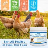 Chicken Vitamin, Electrolyte & Probiotic Supplement - Support Hydration Digestion Immunity Egg Production – Poultry Supplement for Chickens, Ducks, and All Ages of Birds – All-Season Use,10oz Powder