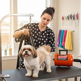METROVAC - Air Force Commander 2 Speed Model: AFTD-1 802 Watts - Dog & Cat Hair Blow/Dryer - Air Dryer for Long and Short Hair - Blue