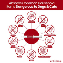 Load image into Gallery viewer, PawMergency – Activated Charcoal First Aid Kit Emergency Rescue for Dogs, Cats, Puppy &amp; Pet Poison Kit, Camping Survival Remedy Essential,Oral Anti Diarrhea Digestive Paste Ready Absorb Toxins (30mL)
