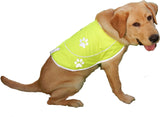 Funtone Colors Dog Reflective Vest - Comfortable Jacket Safety Hunting, High Visibility for Dogs with Elastic Straps and Clasp Closure-Orange, Medium