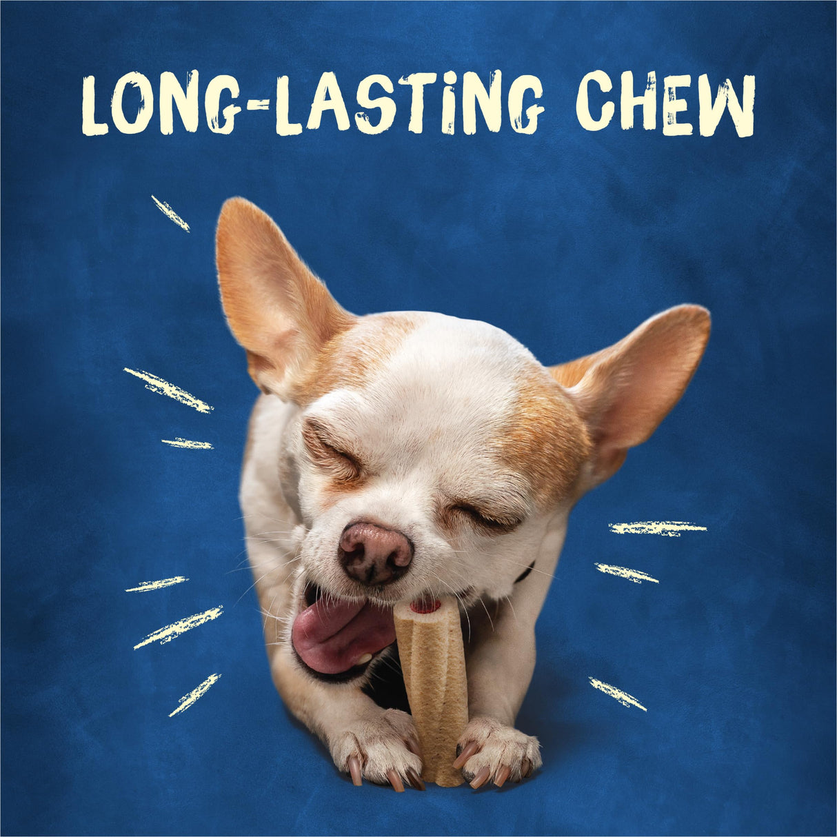 Purina Busy Bone Adult Toy Breed Dog Chew Bone Treats, Tiny - 60 ct. Pouch