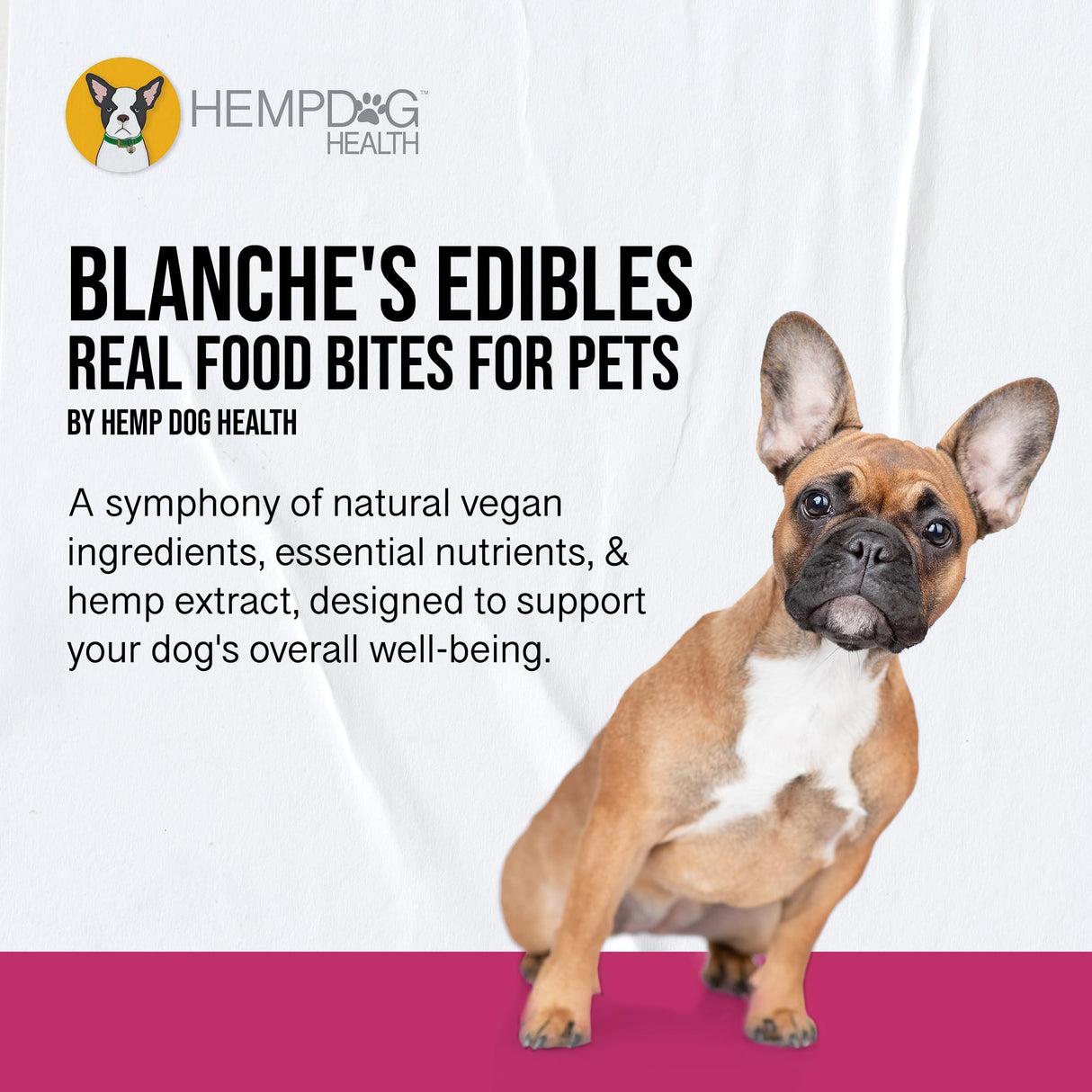 Hemp Dog Health Blanche - 42 Dog Calming Treats - Stress & Relaxation Support - Natural Vegan Hemp Calming Chews for Dogs with Coconut Oil