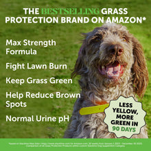 Load image into Gallery viewer, Grass Green Max Strength Chews for Dogs – Premium Dog Urine Lawn Spot Saver Supplement – Supports Healthy Digestion, Gut &amp; Urinary Health with Probiotics, DL-Methionine &amp; Yucca (90ct Duck Flavor)
