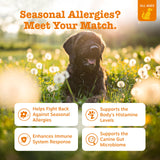 Zesty Paws Dog Allergy Relief Chews, Dog Probiotics for Itchy Skin and Ears, Peanut Butter, 90ct