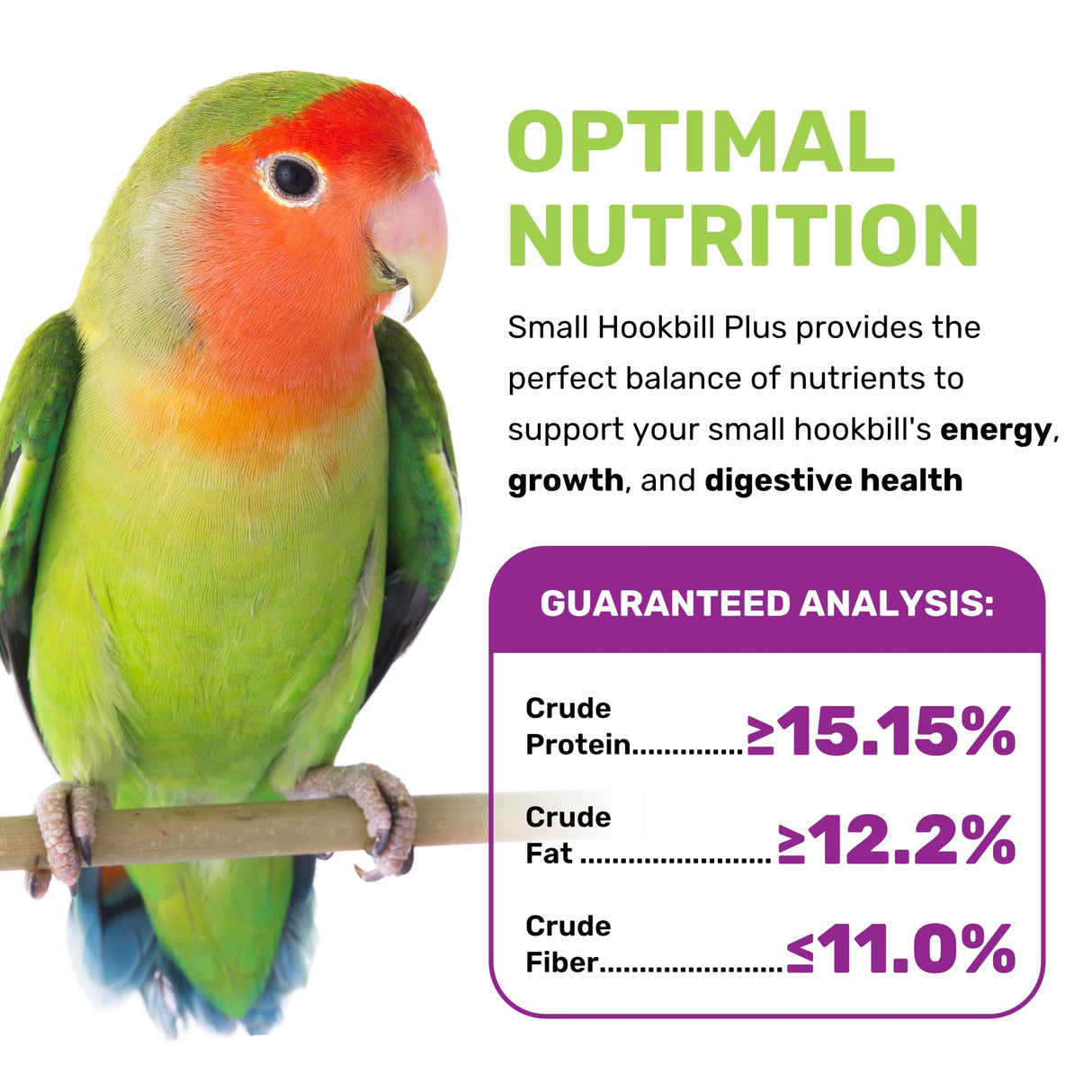 Small Hookbill Plus 5 Lbs, Bird Food for Small Hookbill, Premium Bird Seeds, Supports Growth Energy and Digestive Health, Nutrient-Rich Parrot Birdseeds with Vitamins & Minerals, Healthy Balanced Diet