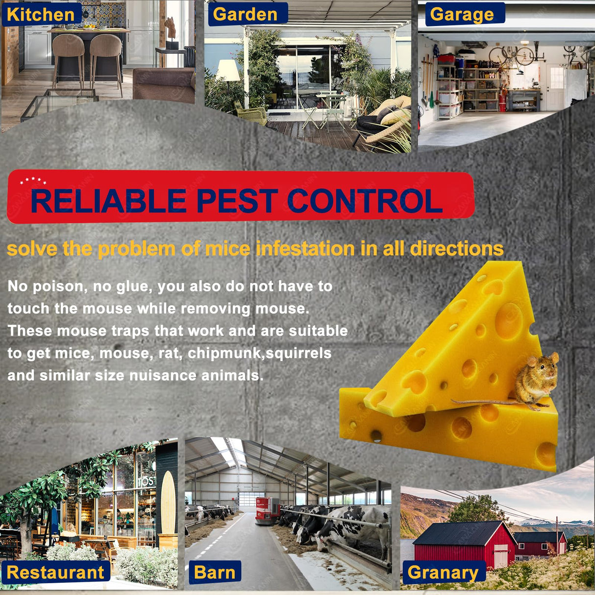 CANAANIN Large Rat Traps, Mouse Traps That Work, Excellent Traps for Gophers, Snap Traps for Indoor Outdoor, Quick Effective Sanitary Safe, Snap Trap for Mouse, Chipmunk, Safety and Friendly 6 Pack