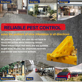 CANAANIN Large Rat Traps, Mouse Traps That Work, Excellent Traps for Gophers, Snap Traps for Indoor Outdoor, Quick Effective Sanitary Safe, Snap Trap for Mouse, Chipmunk, Safety and Friendly 6 Pack