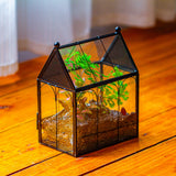 NCYP Small Glass Terrarium Enclosure with Mesh for Jumping Spiders, Micro House Shaped Succulent Plants Terrarium, Home Decor Black, 5.8" x 3.8" x 7" (No Plants)