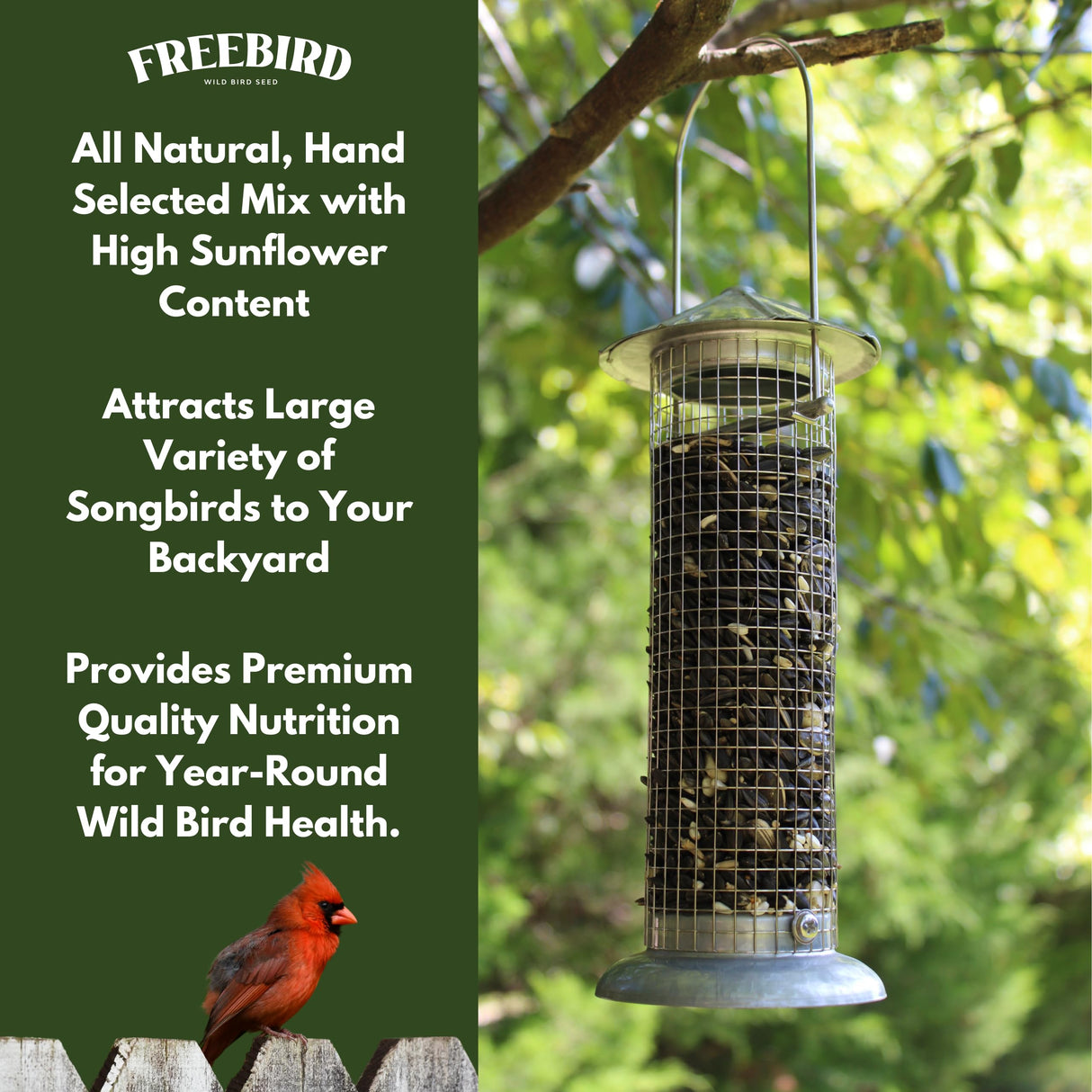 Wild Bird Seed for Outside Feeders by Freebird - Premium Songbird Blend with Sunflower, Safflower, Peanut Pieces, Red Millet and White Millet for Cardinals, Finches, and Colorful Wild Birds - 5lb Bag