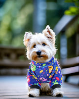PET SHOW 4 Pack Small Dog Pajamas Cute Dinosaur Monster Clothes for Medium Dogs Soft Stretchy PJs Plaid Jumpsuit Puppy Tie Dye Onesies Outfits with Sleeve Pets Dachshund Costume(XXL, Blue for Boys)
