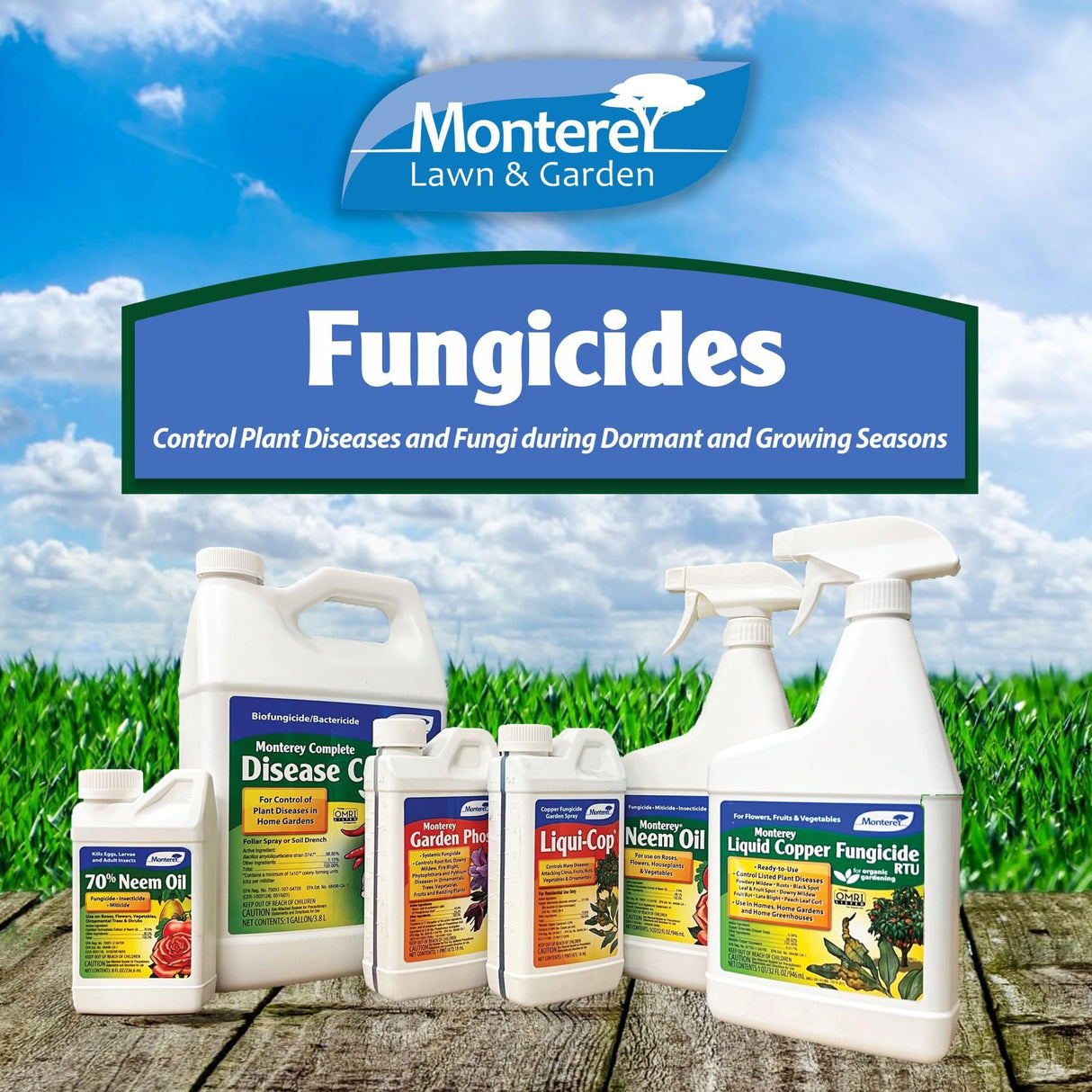 Monterey - Liqui-Cop - Copper Garden Spray Fungicide for Disease Prevention - 1 Gallon Concentrate