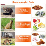 KOCASO Large Live Animal Trap Cage, Foldable Heavy Duty Humane Rat Trap for Indoor and Outdoor, Metal Mouse Trap for Squirrel Gopher Chipmunk Mice Raccoon, Easy to Catch and Release, 31"x11"x12"
