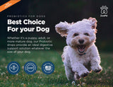 ZuvaPet Probiotics for Dogs - Dog Probiotics for Diarrhea - Natural Digestive Enzymes for Upset Stomach Relief + Gas, Constipation Health & Itch Relief - Prebiotic Pet Supplies - 120 Servings