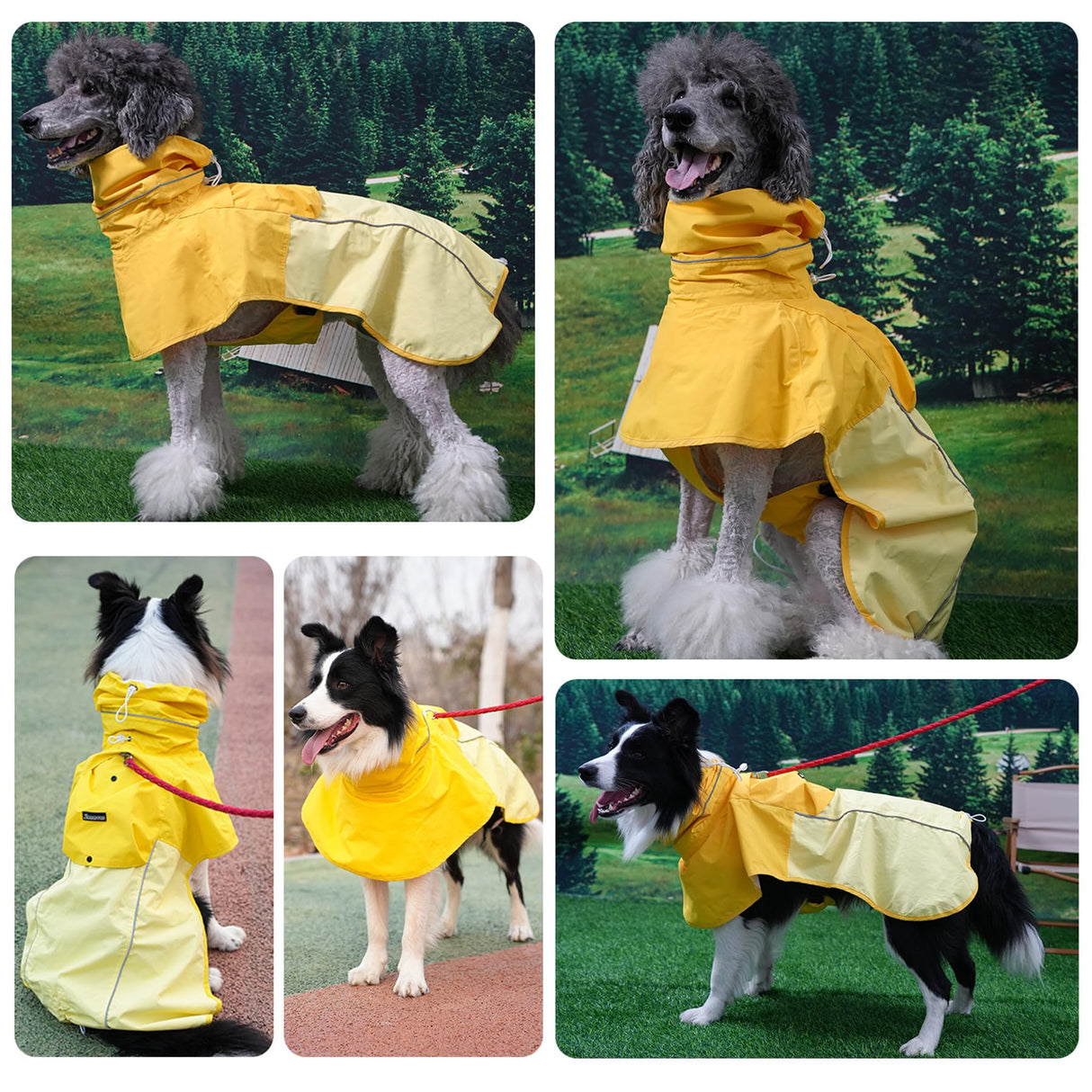 MAMORE Dog Raincoat, Waterproof Rain Jacket for Small Medium Large Dogs, Windproof Reflective Adjustable Breathable Pet Rain Coat with Storage Pocket and Leash Holes (Mineral Yellow, Medium)