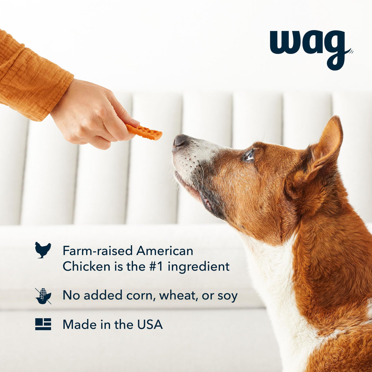 Wag Dog Treats, Chicken and Waffle Bites, 24 oz Resealable Pack of 1