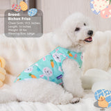cyeollo 2pack Dog Easter Shirt for Small Puppy Dogs Outfit Soft Pet T Shirts Dog Tank Top Vest T-Shirt Rabbit Print Cat Apparel