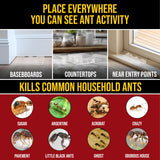 Catchmaster Defiant Premium Liquid Ant Killer, 1-Year Supply, Kills the Queen and Colony, No Mess Precision Bottle, Reusable Ant Traps Indoor & Outdoor, Pest Control Traps, Made in USA