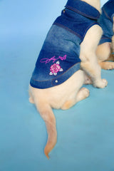 Dolly Doggy Parton Blue Denim Jacket with Collar for Dogs, Dog Apparel (Pack of 2)