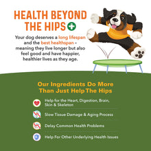 Load image into Gallery viewer, Bernie's Healthy Hips - Daily Dog Hip &amp; Joint Supplement - 90 Soft Chews - Reduce Pain, Encourage Mobility, Slow Damage, Repair and Rebuild Hips &amp; Joint Tissues
