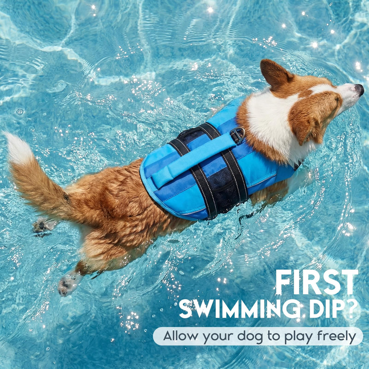 ASENKU Dog Life Jacket with Reflective Stripes, Adjustable High Flotation Dog Safety Vest, Ripstop Pet Lifesaver for Swimming Boating, Lightweight Pet Life Preserver for Medium Dogs (Blue, S)