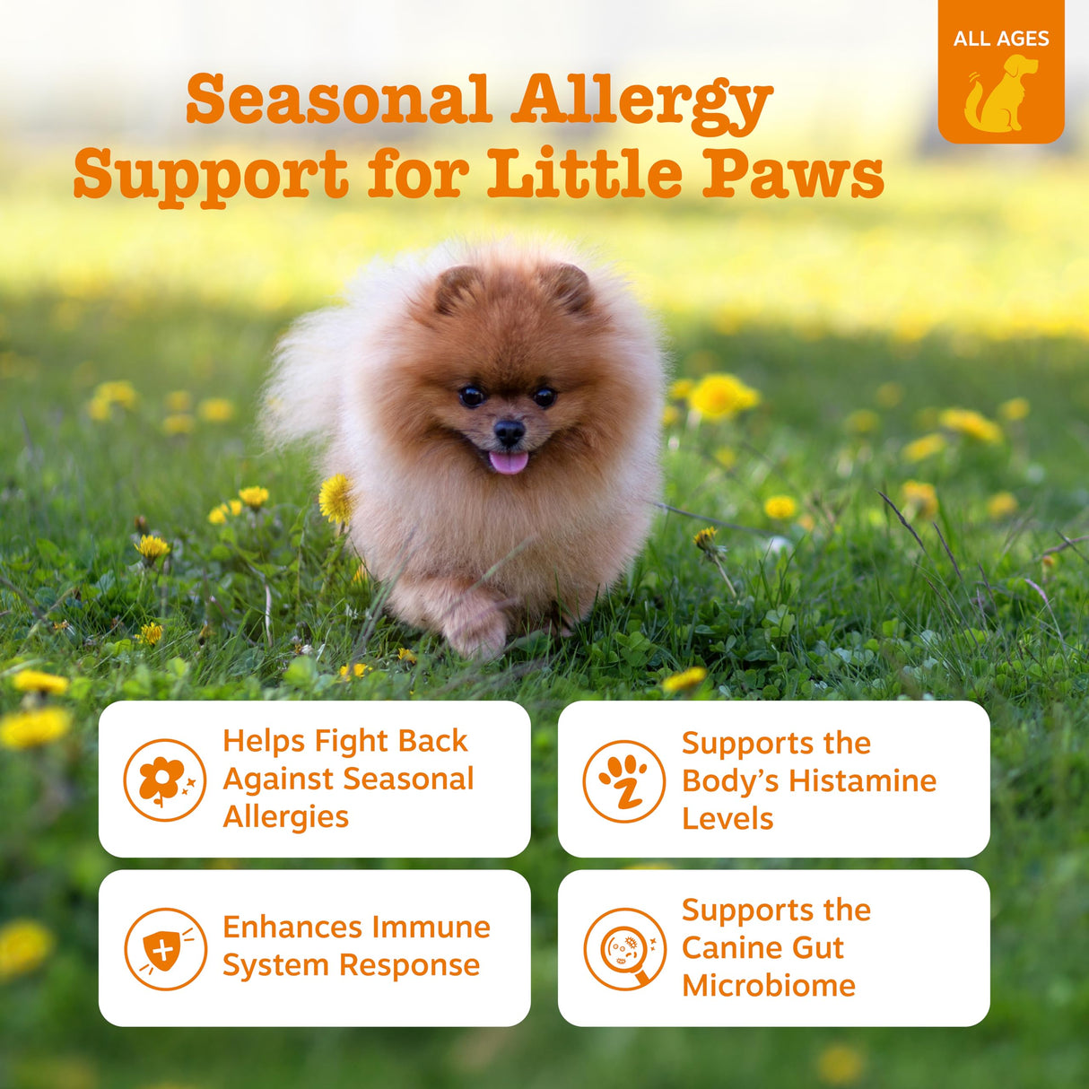 Zesty Paws Dog Allergy Relief Chews, Dog Probiotics for Itchy Skin and Ears, Lamb, Mini, 90ct