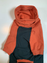 Tooth & Honey Pitbull Dog Sweater - Dark Green & Orange (Large)