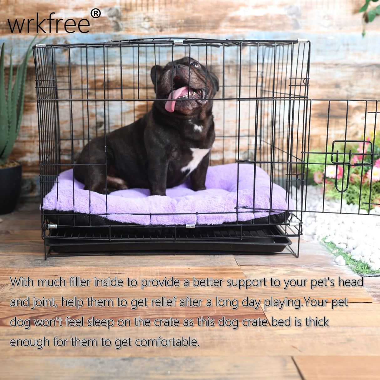 Wrkfree Dog Crate Bed 24 x 18 Purple for Small Dogs - Washable Comfy Fluffy for 24 Inches Cage Kennel - Indoor and Outdoor Use