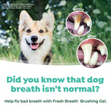 TropiClean Fresh Breath Toothbrush and Toothpaste Kit for Dogs, Teeth Cleaning Kit for Plaque & Tartar Removal, Breath Freshener, Dog Dental Care