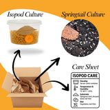 Bioactive Combo | 25 Powder Orange Isopods | 8oz Coco Temperate Springtails | Live Arrival Nationwide!